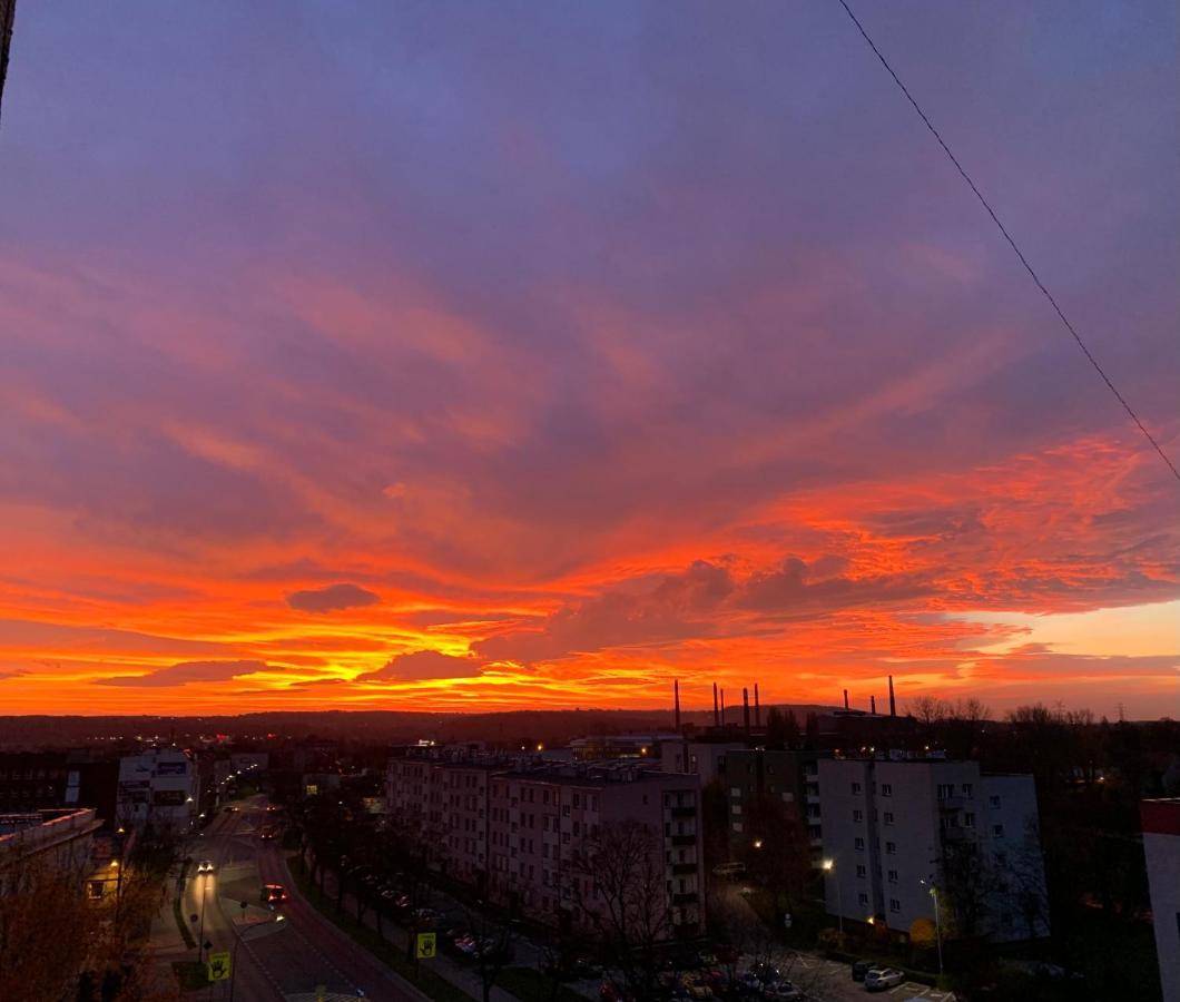 Gosciniec Raciborski Raciborz Luaran gambar